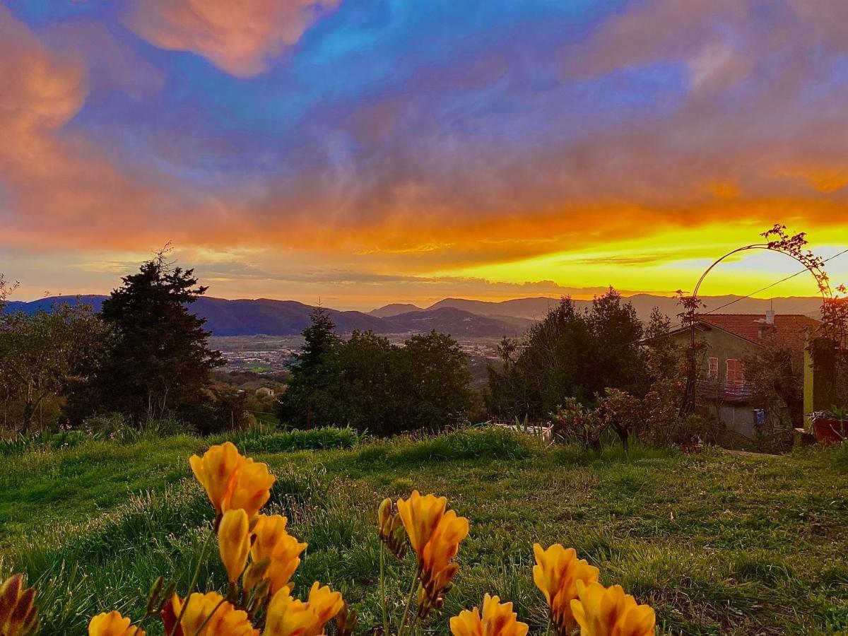 La Ginestra B&B Фосдиново Екстериор снимка