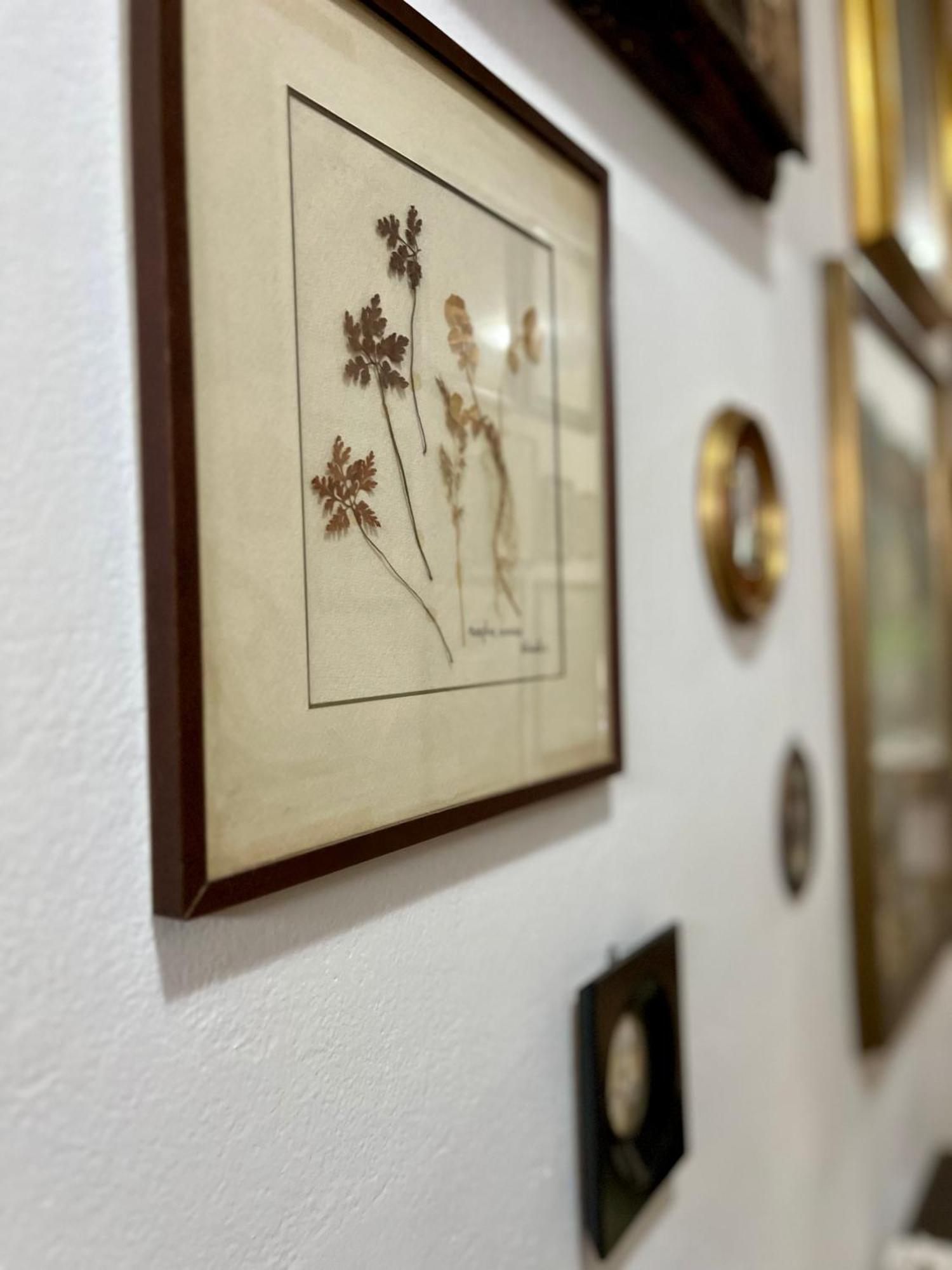 La Ginestra B&B Фосдиново Екстериор снимка
